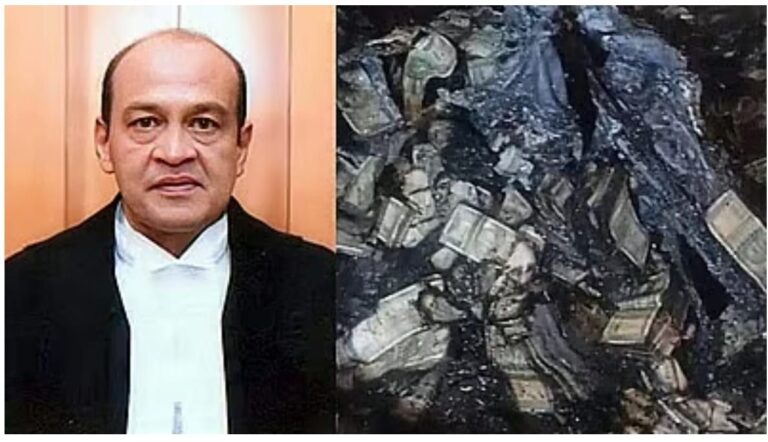 img-20250508-wa00052980283147133239074