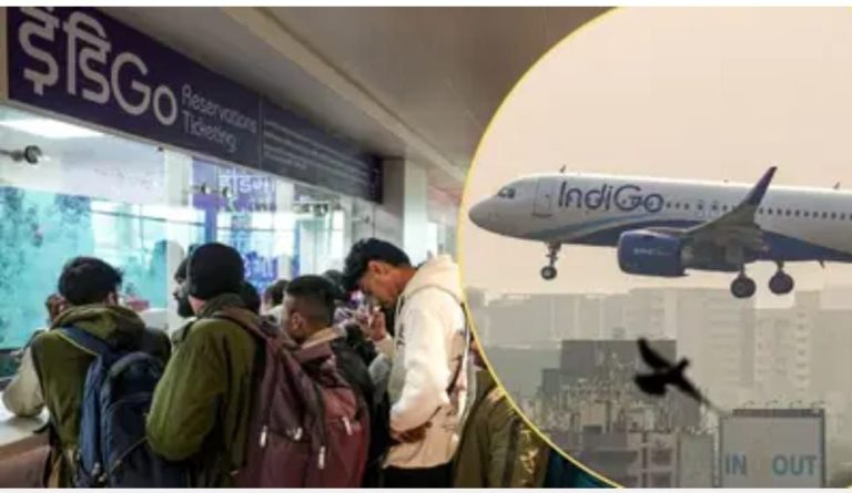 img-20251208-wa00008782877954790875082