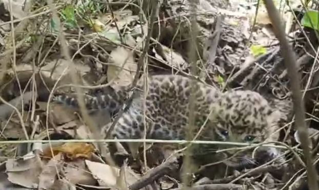 img-20251208-wa00435984043995948342919