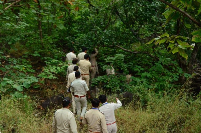 img-20251212-wa00814535647422114266856