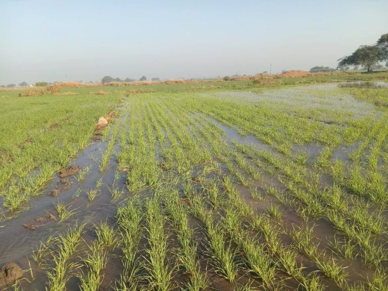 img-20251215-wa00617388517463224195652