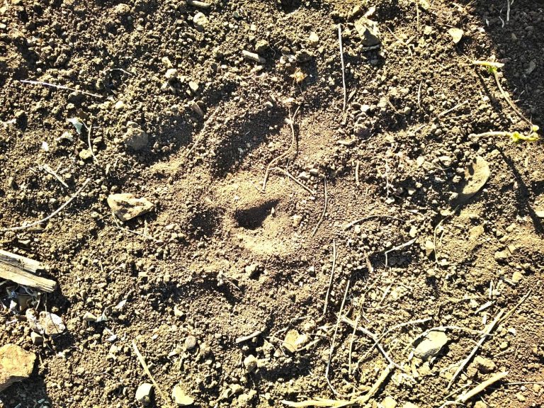 img-20251218-wa00244223389096881188004