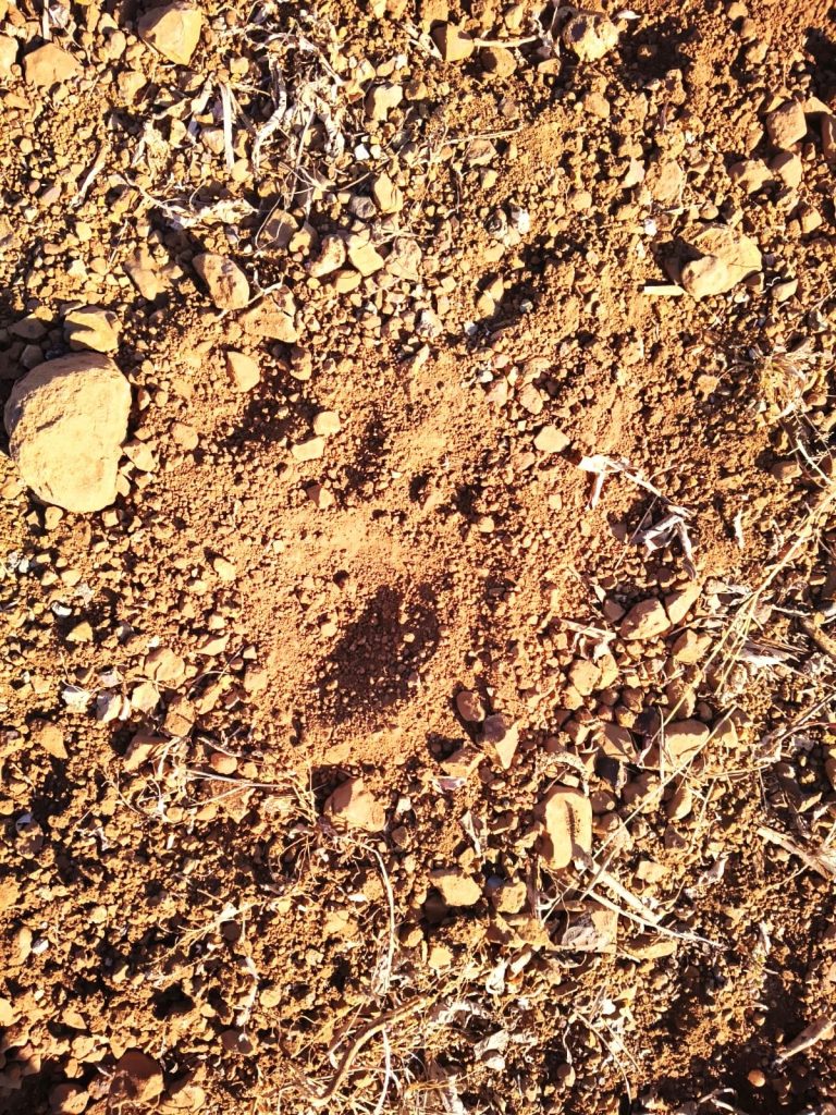 img-20251218-wa00269219917516087247575