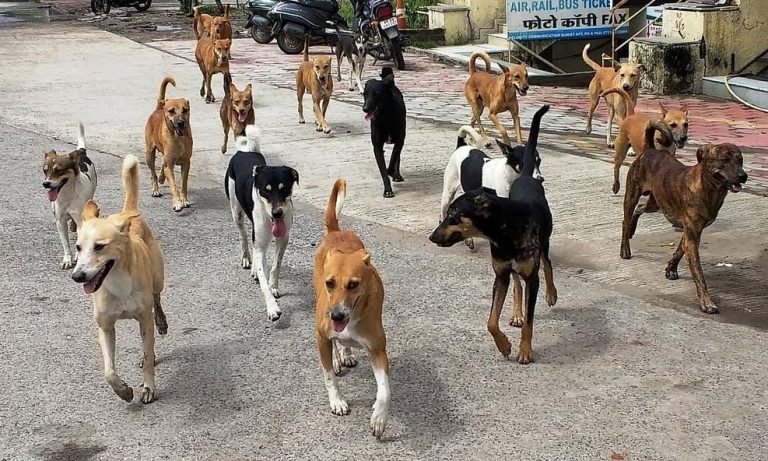 img-20251220-wa00138814909243605422646