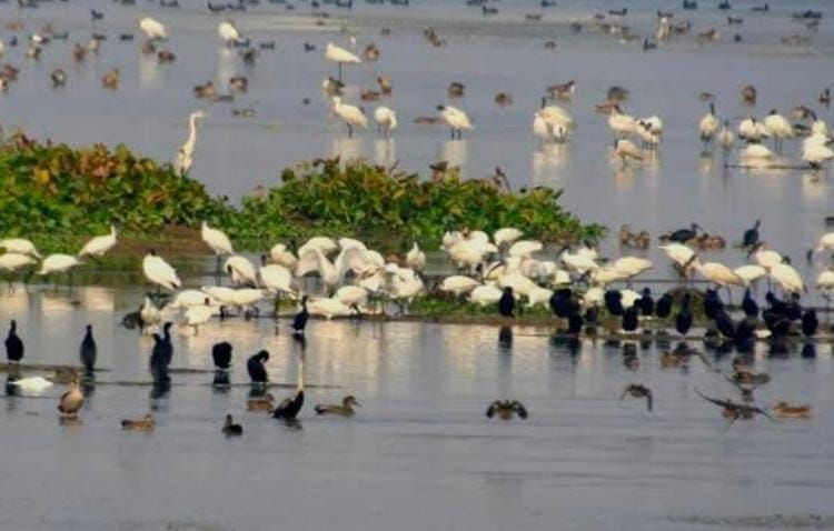 img-20251221-wa00266078363811430576607