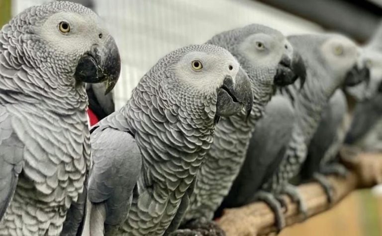 img-20251223-wa00053771840931308648380