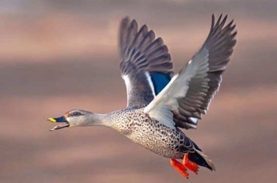 img-20260103-wa00053482768880477557348