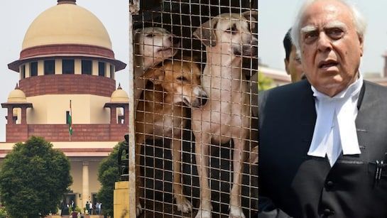 img-20260108-wa00138550491707936916336