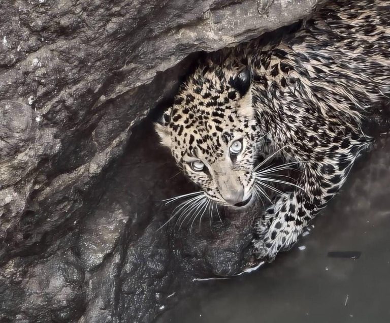 img-20260111-wa00068547922047677305407