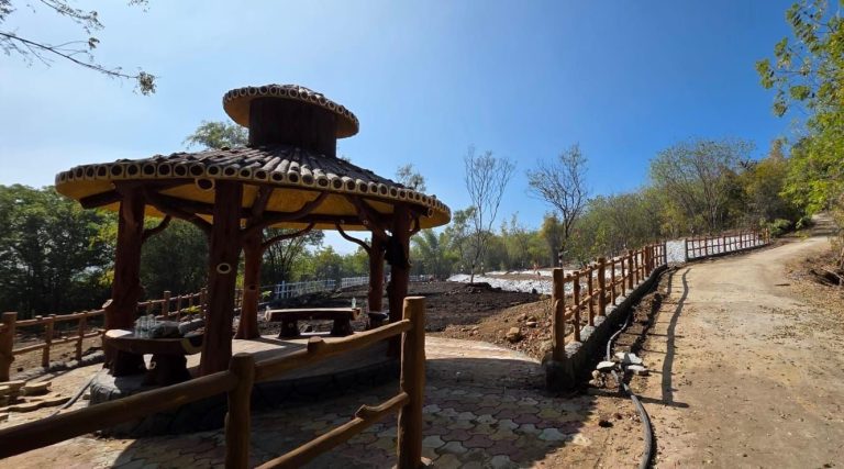 img-20260115-wa00194746892002826885275