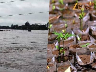 img-20260119-wa00177819694506240750496