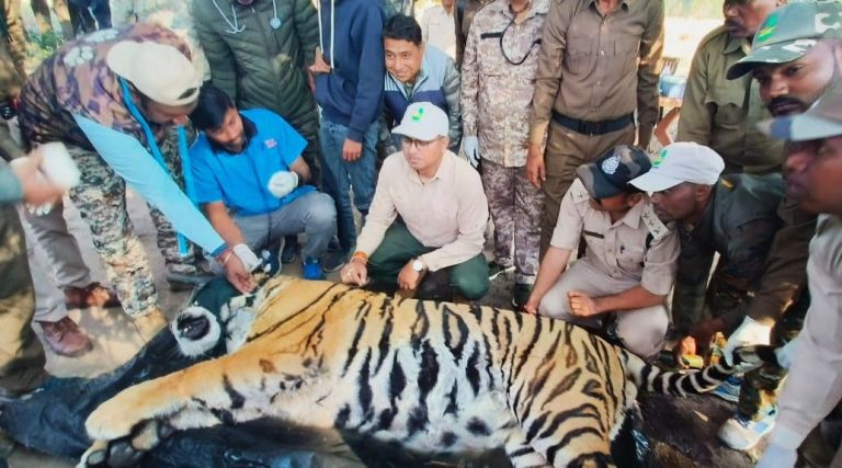 img-20260121-wa00044960965917513476815