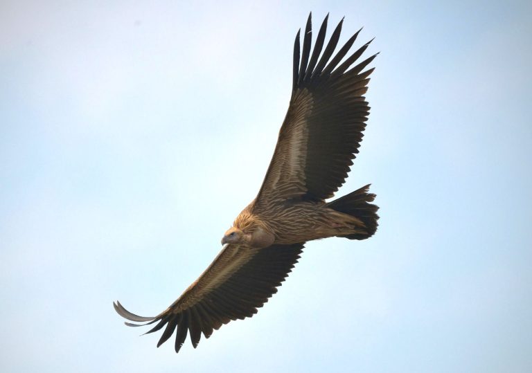 img-20260223-wa00265984873905459755381