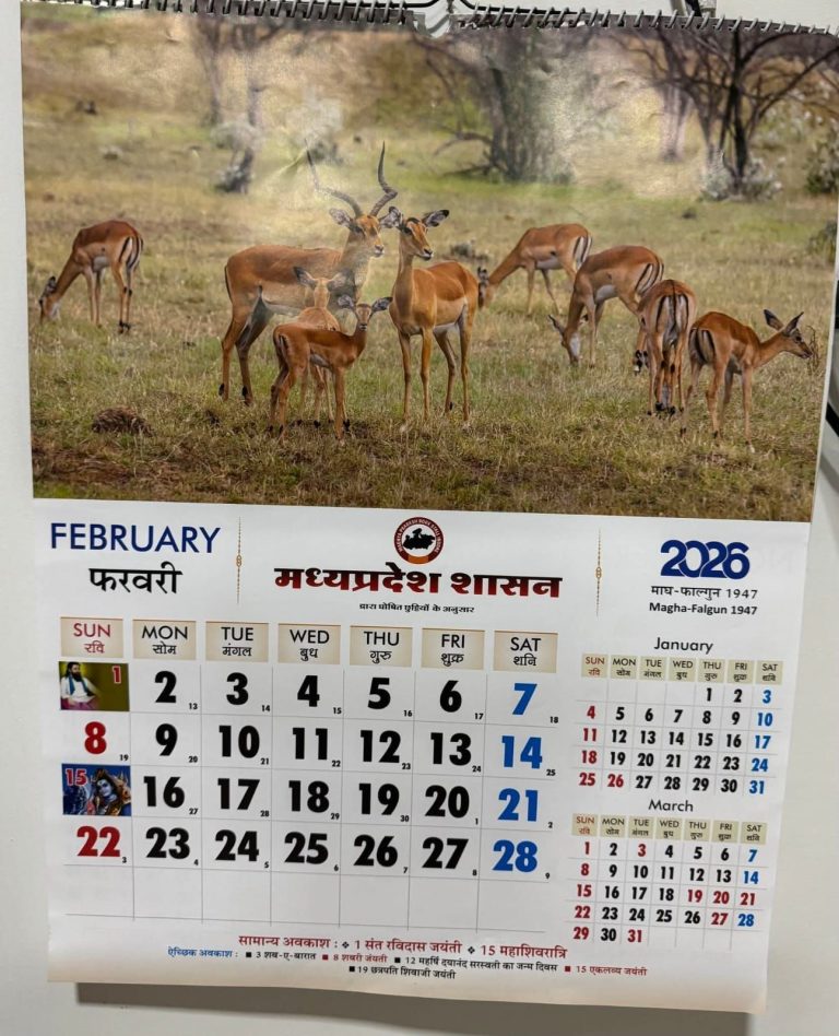 img-20260228-wa00105650745855703846868