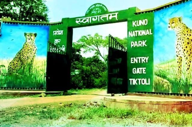 img-20260228-wa00153777073376169005318